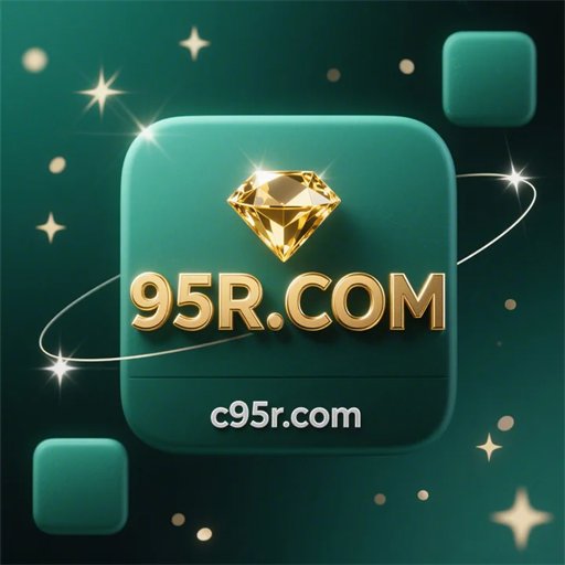 95r.com
